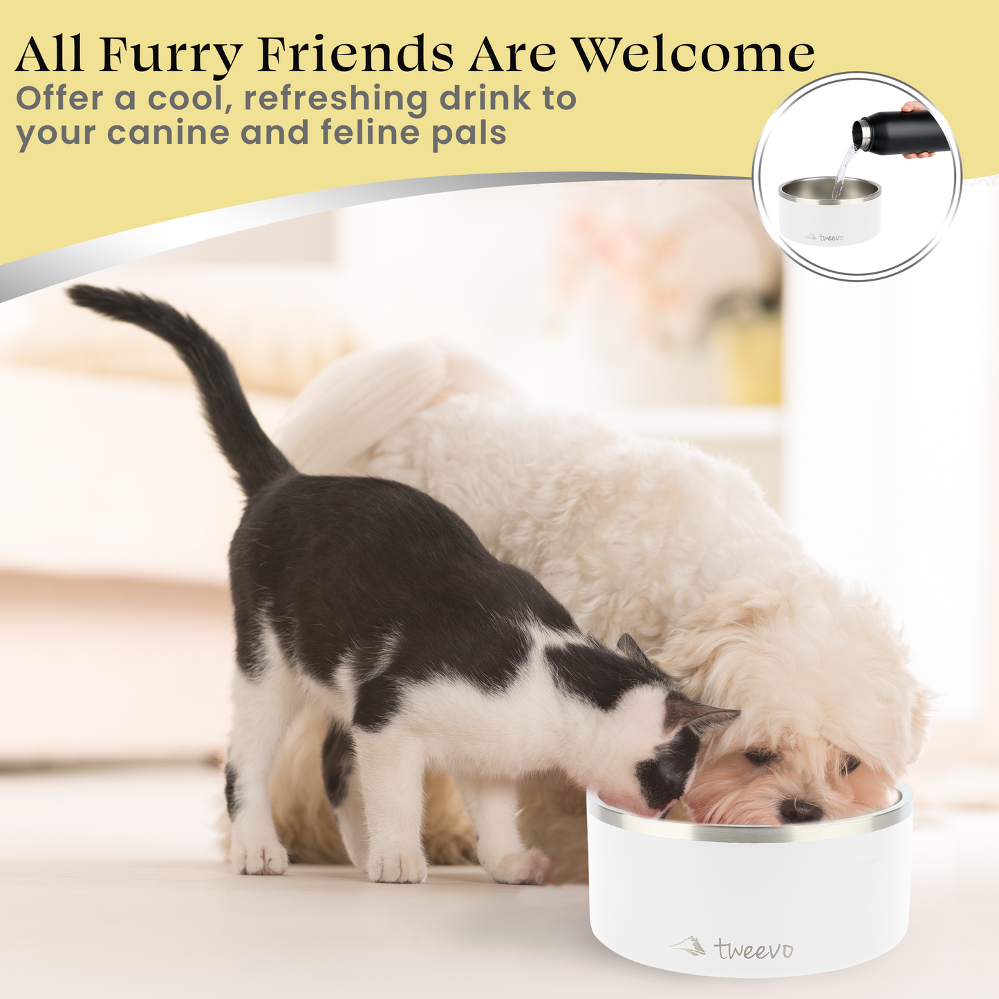 Tweevo Stainless Steel Dog Bowls with 2 Rubber Balls, Durable Non-Slip Dog Bowls, Insulated Dog Bowls for Pet Feeding